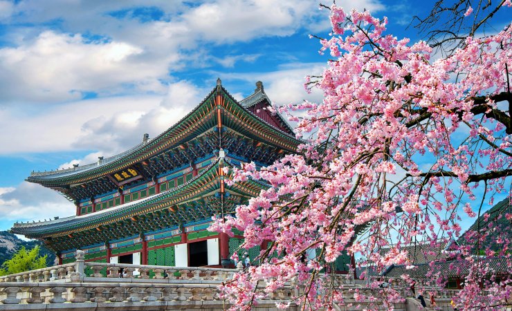 Why Seoul Became a Global Cultural Capital